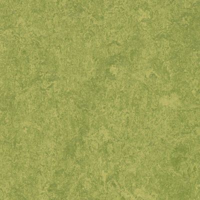 Linoflex, Linoflex 407 2.5 mm, 2 x u.33 m