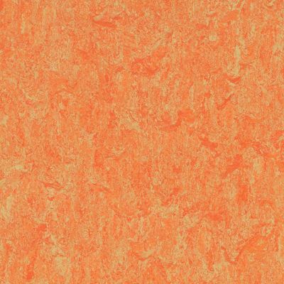 Linoflex, Linoflex 538 2.5 mm, 2 x u.33 m