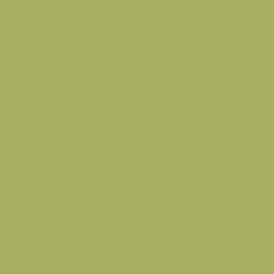Recer Projectos, Projectos verde M156 20x20, naturaalne, 6 mm