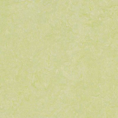 Marmoleum Marbled, Real green wellness 3881 2 x u.33 m
