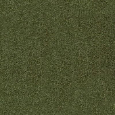 [712211002] Desso Asteranne, Asteranne A411 7922 9.5 mm, 4x25m