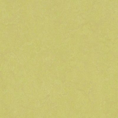 [11596] Marmoleum Marbled, Fresco spring buds 3885 2.5 mm, 2 x u.33 m