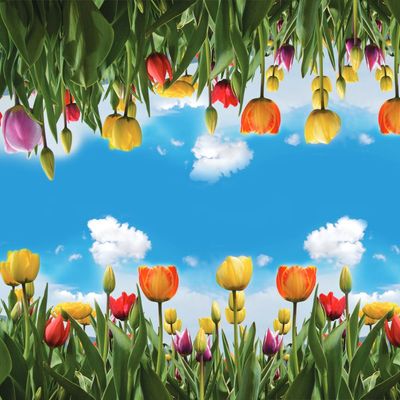 [0357013442] Eternal Digital Bespoke, Tulbid 2 mm, 4 x 5.5 m